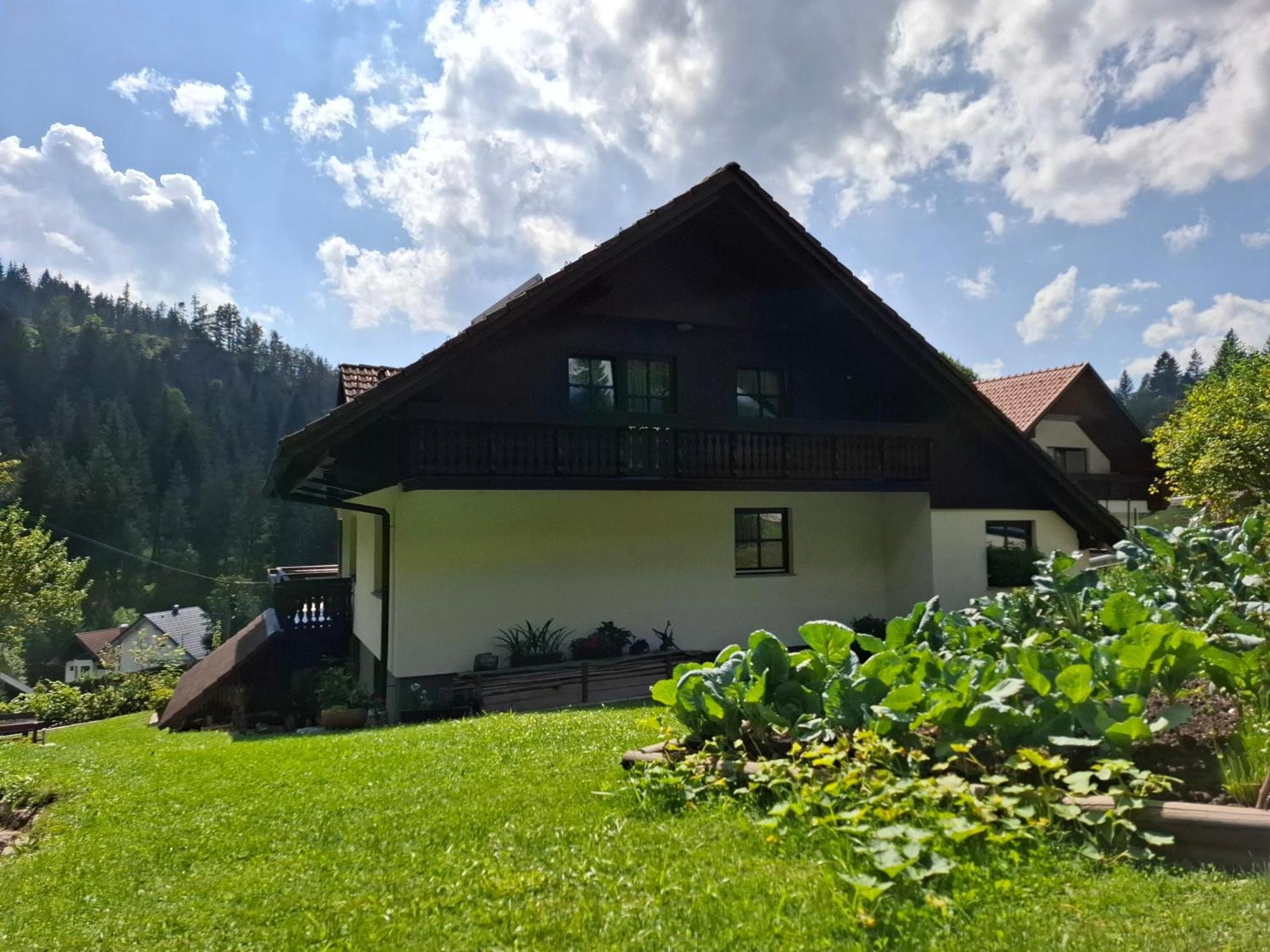 Apartma Cvrsta Trojka جيسينيس المظهر الخارجي الصورة